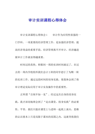 审计实训课程心得体会