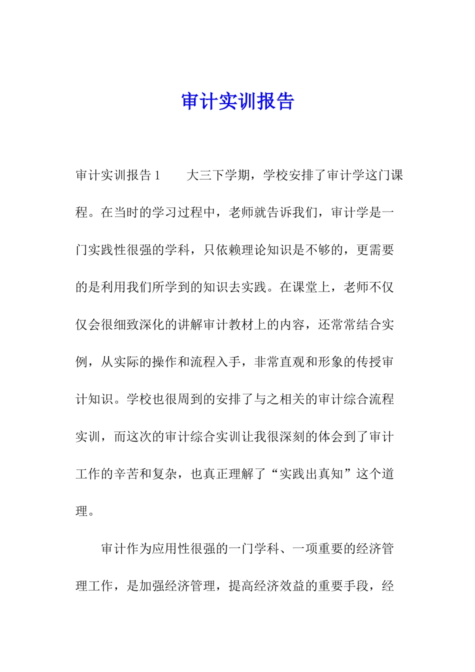 审计实训报告_第1页