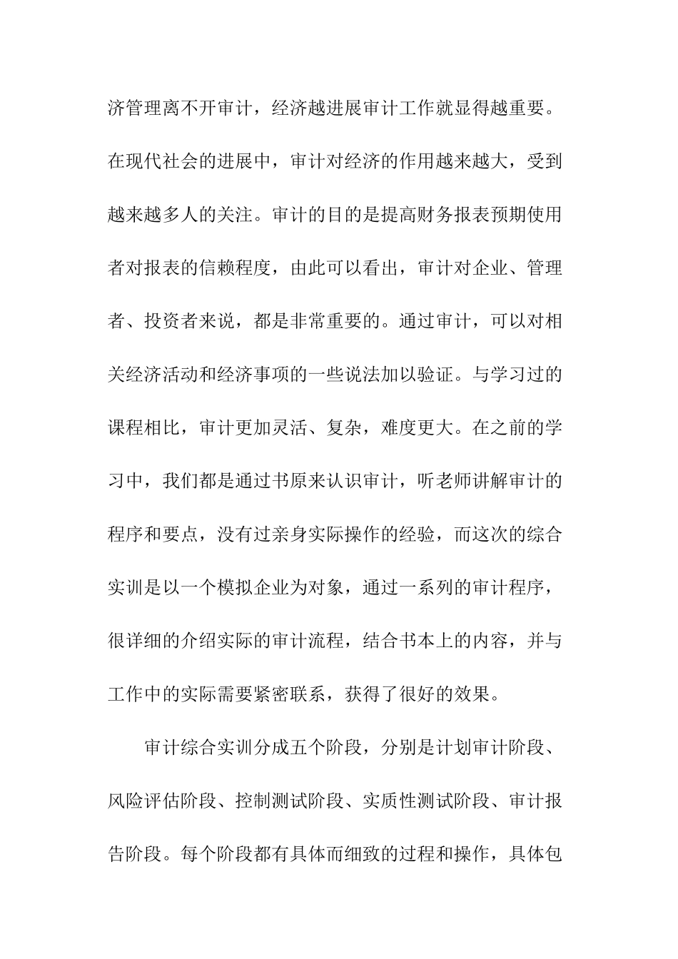 审计实训报告_第2页