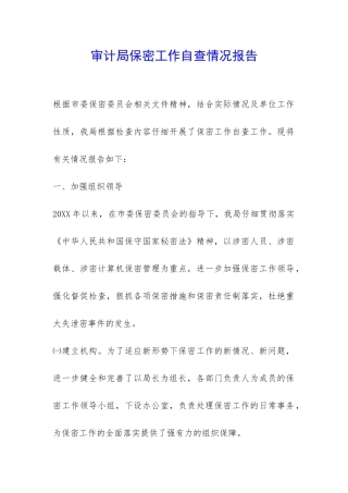 审计局保密工作自查情况报告-
