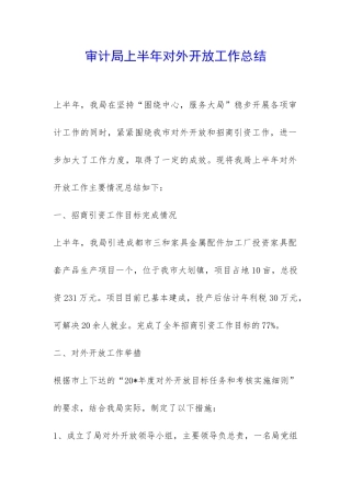 审计局上半年对外开放工作总结-