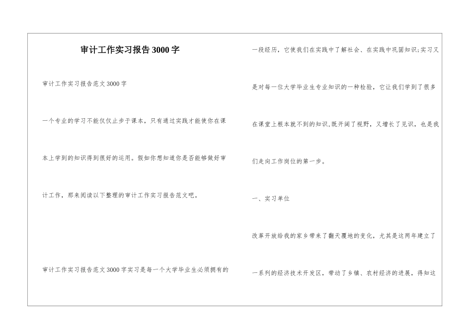 审计工作实习报告3000字_第1页