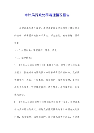 审计局行政处罚清理情况报告-