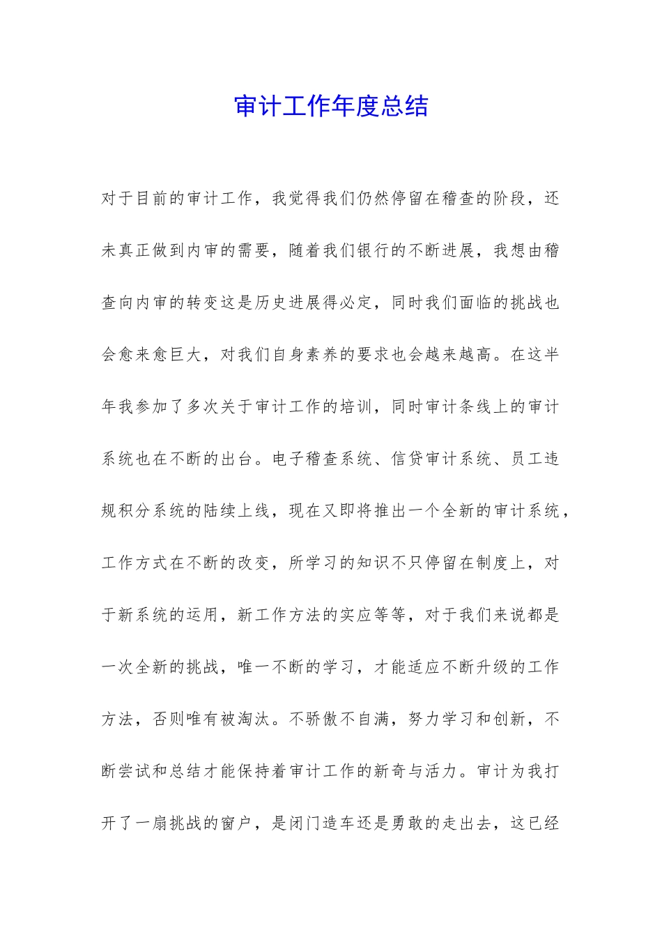 审计工作年度总结-_第1页