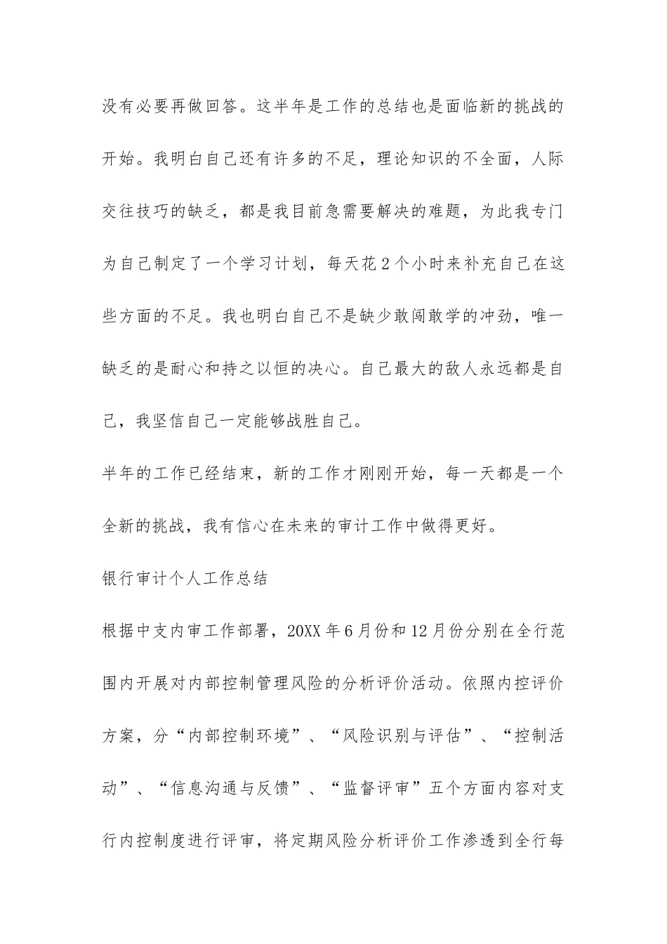 审计工作年度总结-_第2页