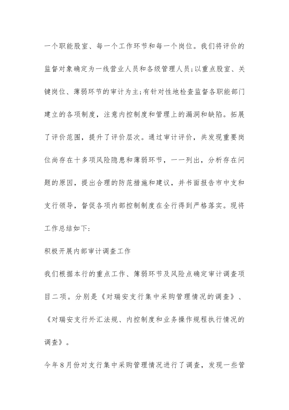 审计工作年度总结-_第3页