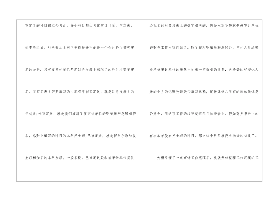 审计月工作总结范文_第3页