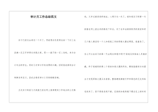 审计月工作总结范文