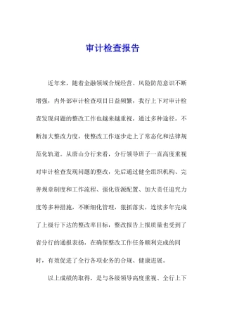 审计检查报告