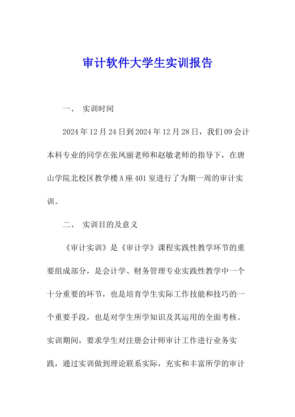 审计软件大学生实训报告_第1页