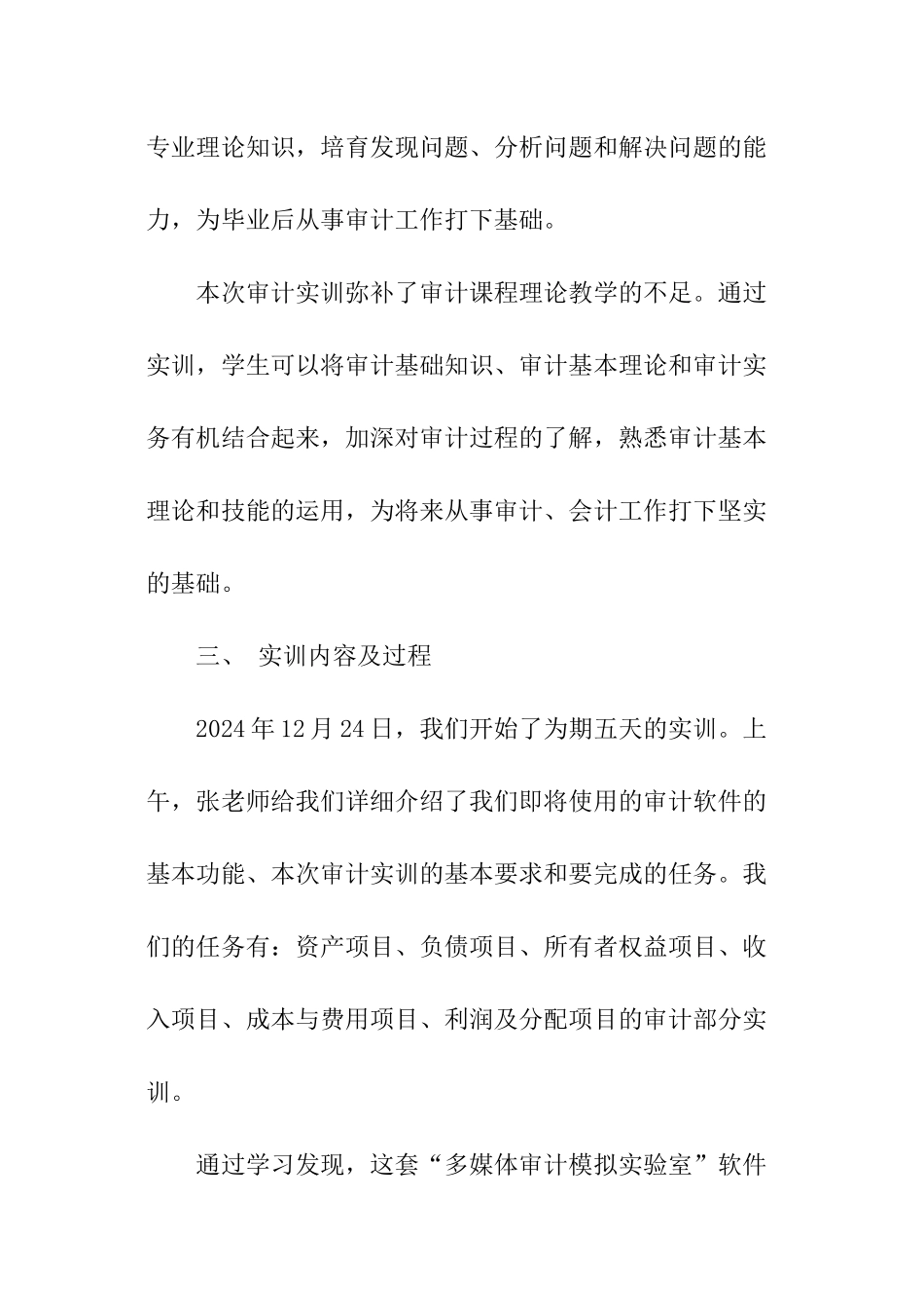 审计软件大学生实训报告_第2页