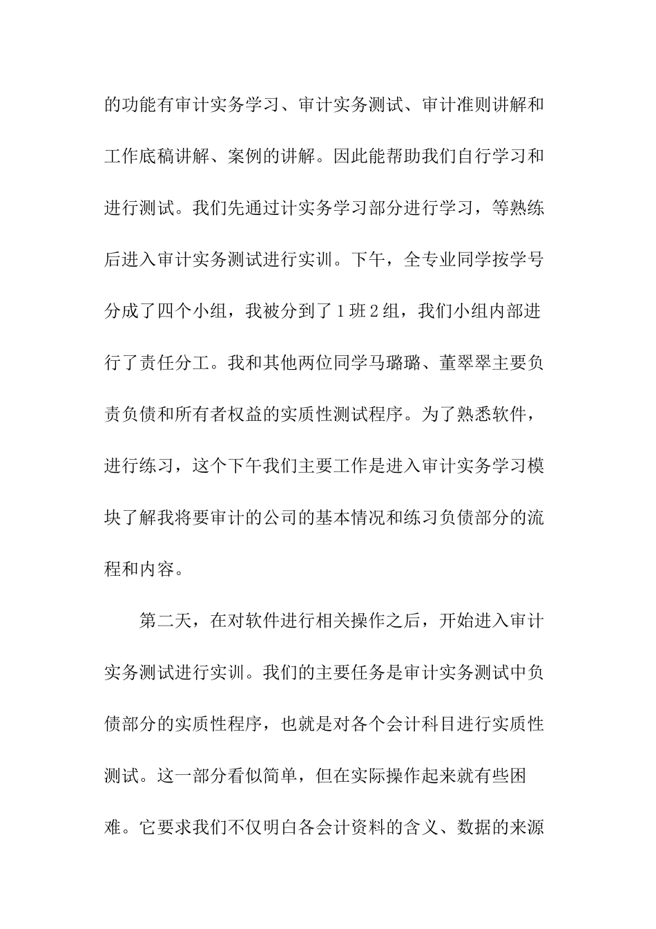 审计软件大学生实训报告_第3页