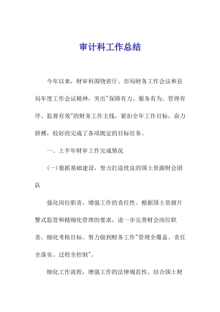 审计科工作总结