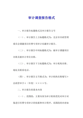 审计调查报告格式