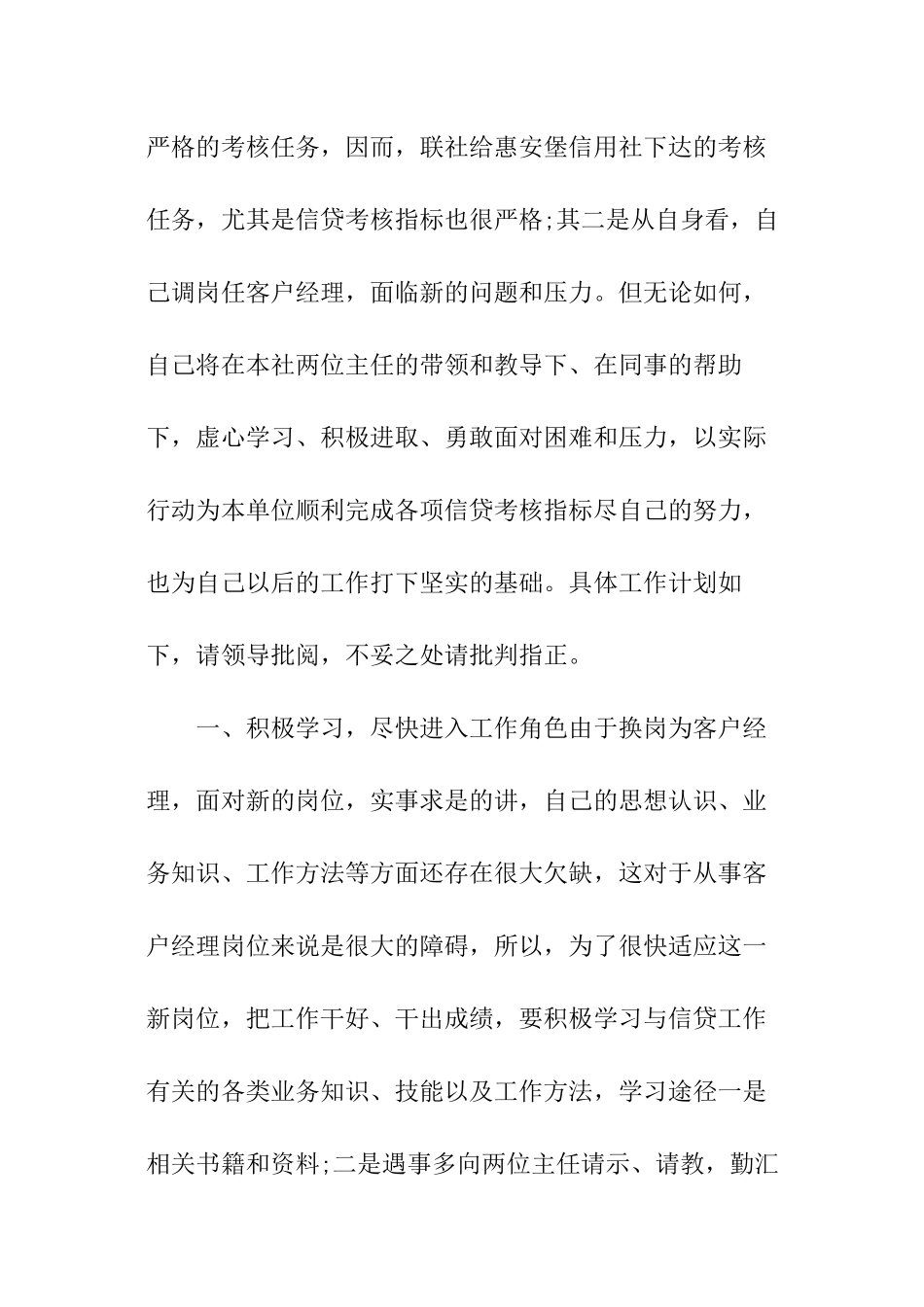 客户经理年度工作计划_第3页