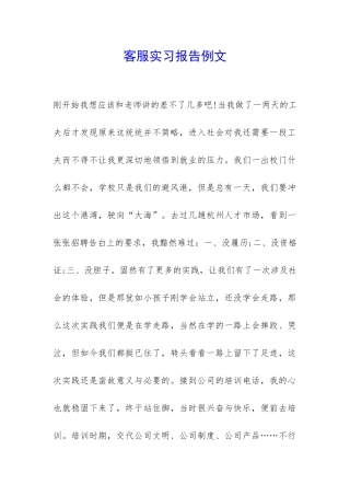 客服实习报告例文-
