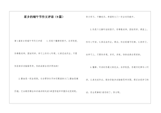 家乡的端午节作文评语