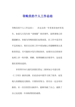 导购员的个人工作总结