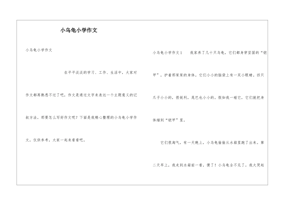 小乌龟小学作文_第1页
