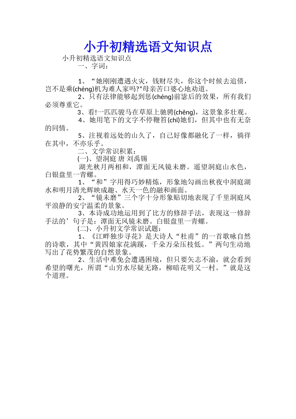 小升初精选语文知识点_第1页