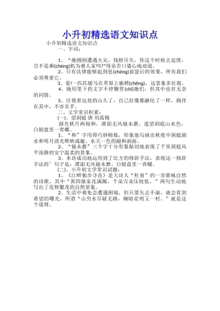 小升初精选语文知识点