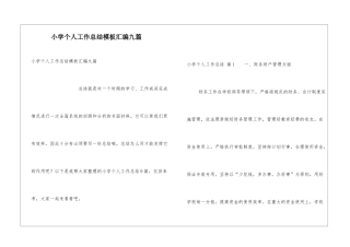 小学个人工作总结模板汇编九篇