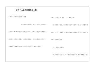 小学个人工作计划集合5篇