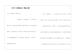 小学个人师德总结