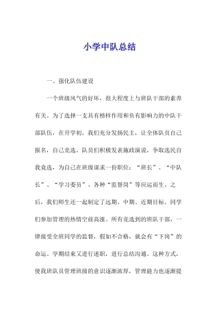 小学中队总结