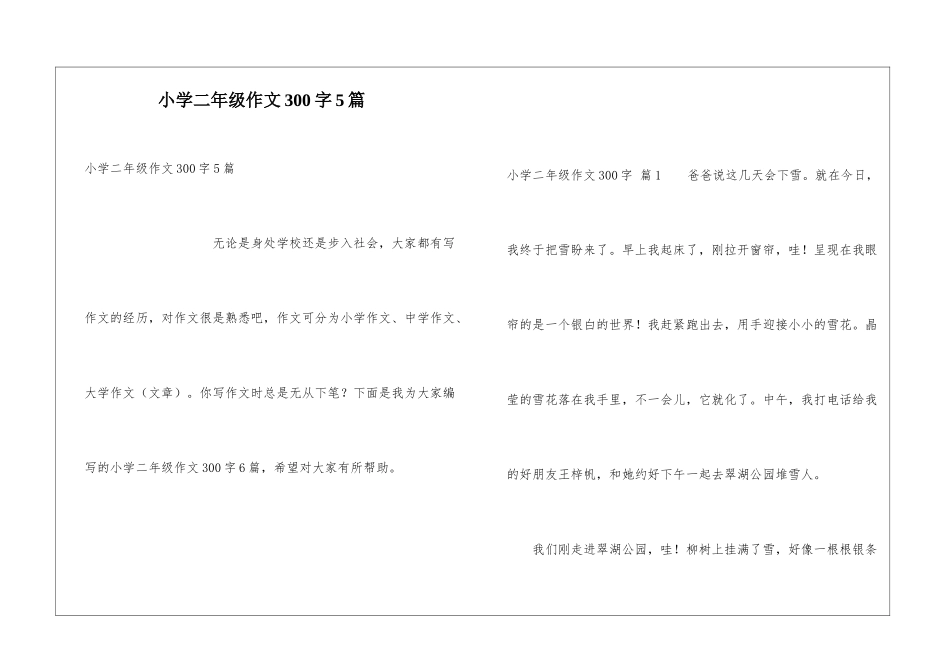 小学二年级作文300字5篇_第1页