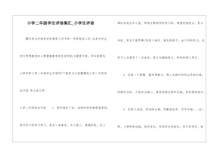 小学二年级学生评语集汇-小学生评语