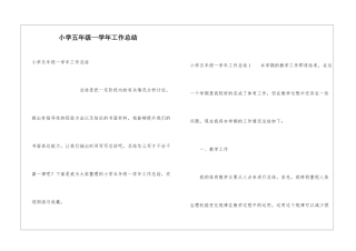 小学五年级一学年工作总结