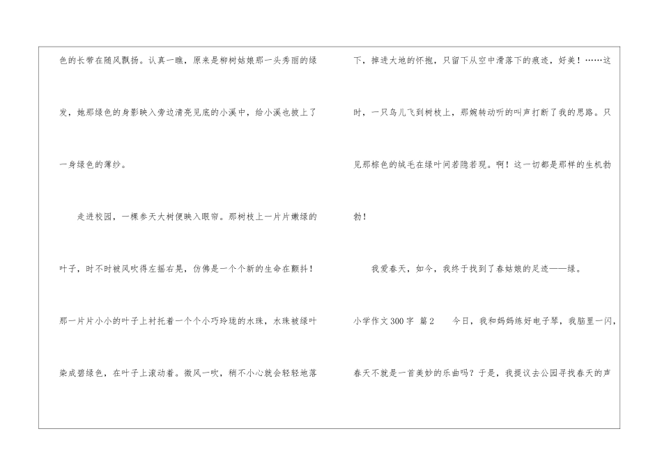 小学作文300字10篇_第2页