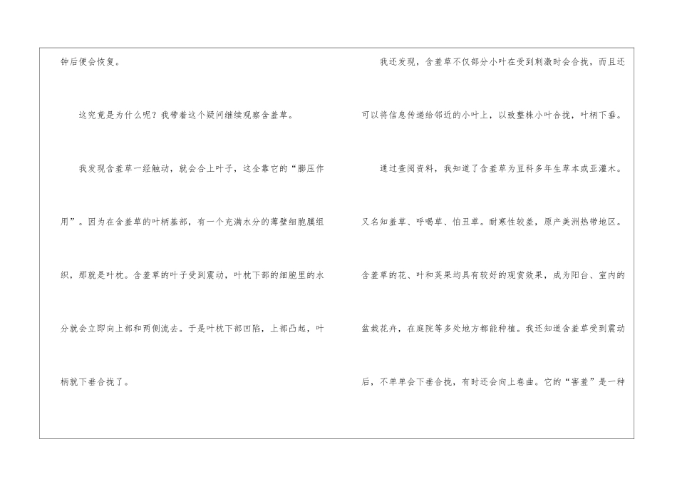 小学作文500字锦集6篇_第2页