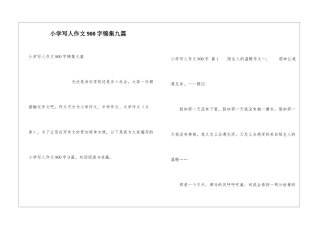 小学写人作文900字锦集九篇