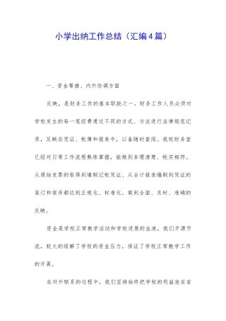 小学出纳工作总结