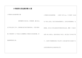 小学副班长竞选演讲稿15篇