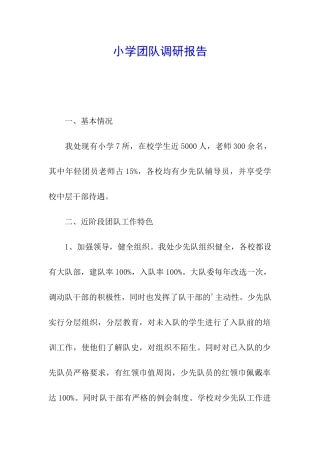 小学团队调研报告
