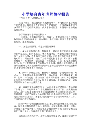 小学培养青年教师情况报告