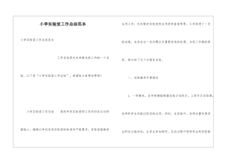 小学实验室工作总结范本