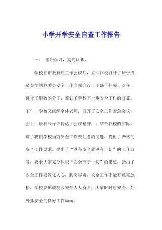 小学开学安全自查工作报告