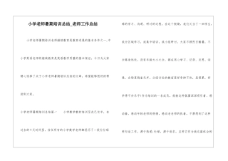 小学教师暑期培训总结-教师工作总结