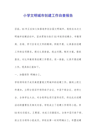 小学文明城市创建工作自查报告-