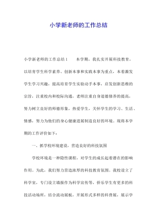 小学新教师的工作总结