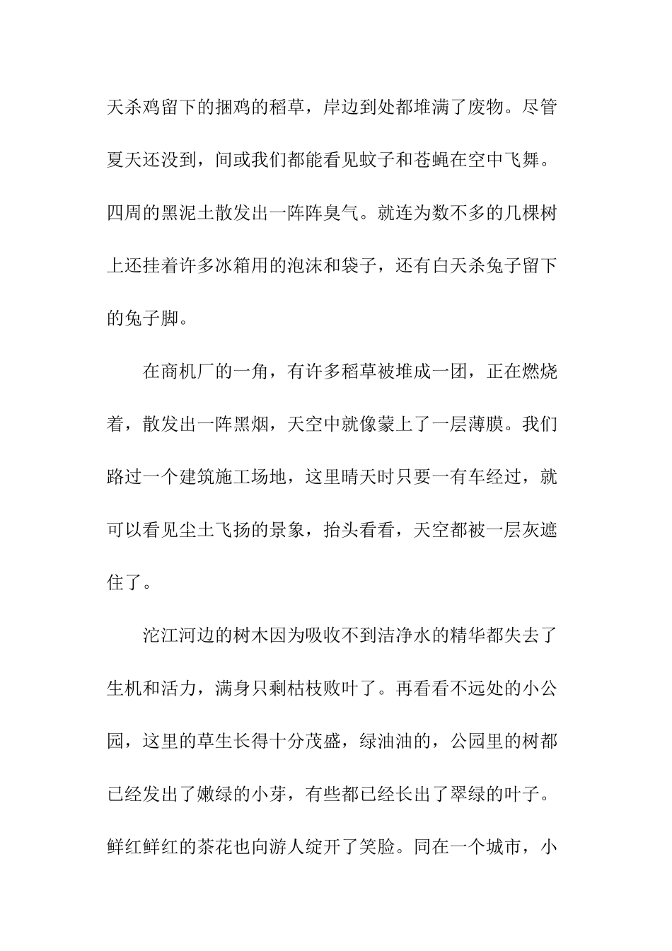 小学生环境调查报告怎么写_第2页