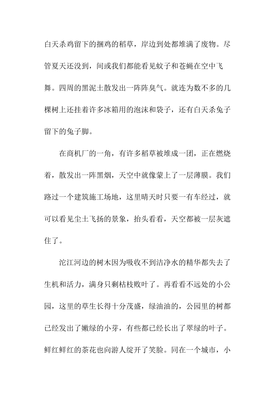 小学生环境调查报告模板_第2页