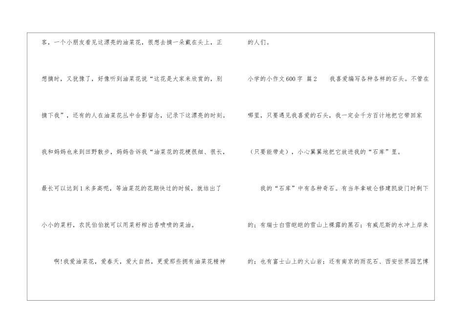 小学的小作文600字汇总十篇_第3页