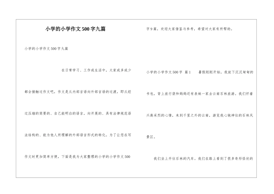 小学的小学作文500字九篇_第1页