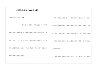 小学的小学作文800字3篇