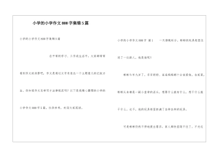 小学的小学作文800字集锦5篇